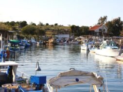 γεωργιας-1024×576