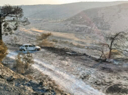 πυρκαγια λεμεσος (38)