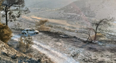 πυρκαγια λεμεσος (38)