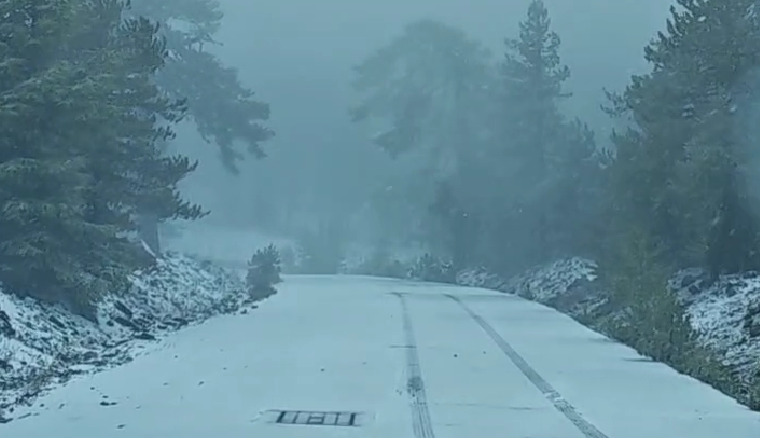 &Nu;&tau;ύ&nu;&epsilon;&tau;&alpha;&iota; &sigma;&tau;&alpha; &lambda;&epsilon;&upsilon;&kappa;ά &tau;&omicron; &Tau;&rho;&omicron;ό&delta;&omicron;&sigmaf; &ndash; &Epsilon;&nu;&tau;&upsilon;&pi;&omega;&sigma;&iota;&alpha;&kappa;ό &sigma;&kappa;&eta;&nu;&iota;&kappa;ό &sigma;&tau;&alpha; &psi;&eta;&lambda;ό&tau;&epsilon;&rho;&alpha; &omicron;&rho;&epsilon;&iota;&nu;ά (&beta;ί&nu;&tau;&epsilon;&omicron;)