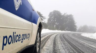 0507c73c-3b83-4597-9865-5f78ece759a4_astynomia-xionia