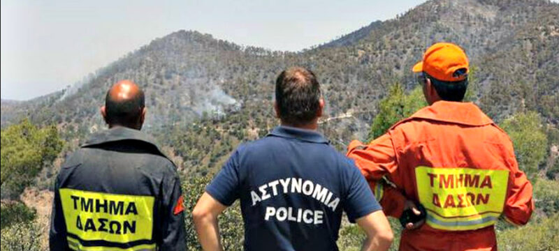 0691bbca-0238-4cfb-b74f-19ddbc27f053_τμημα δασων