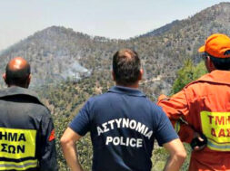 0691bbca-0238-4cfb-b74f-19ddbc27f053_τμημα δασων