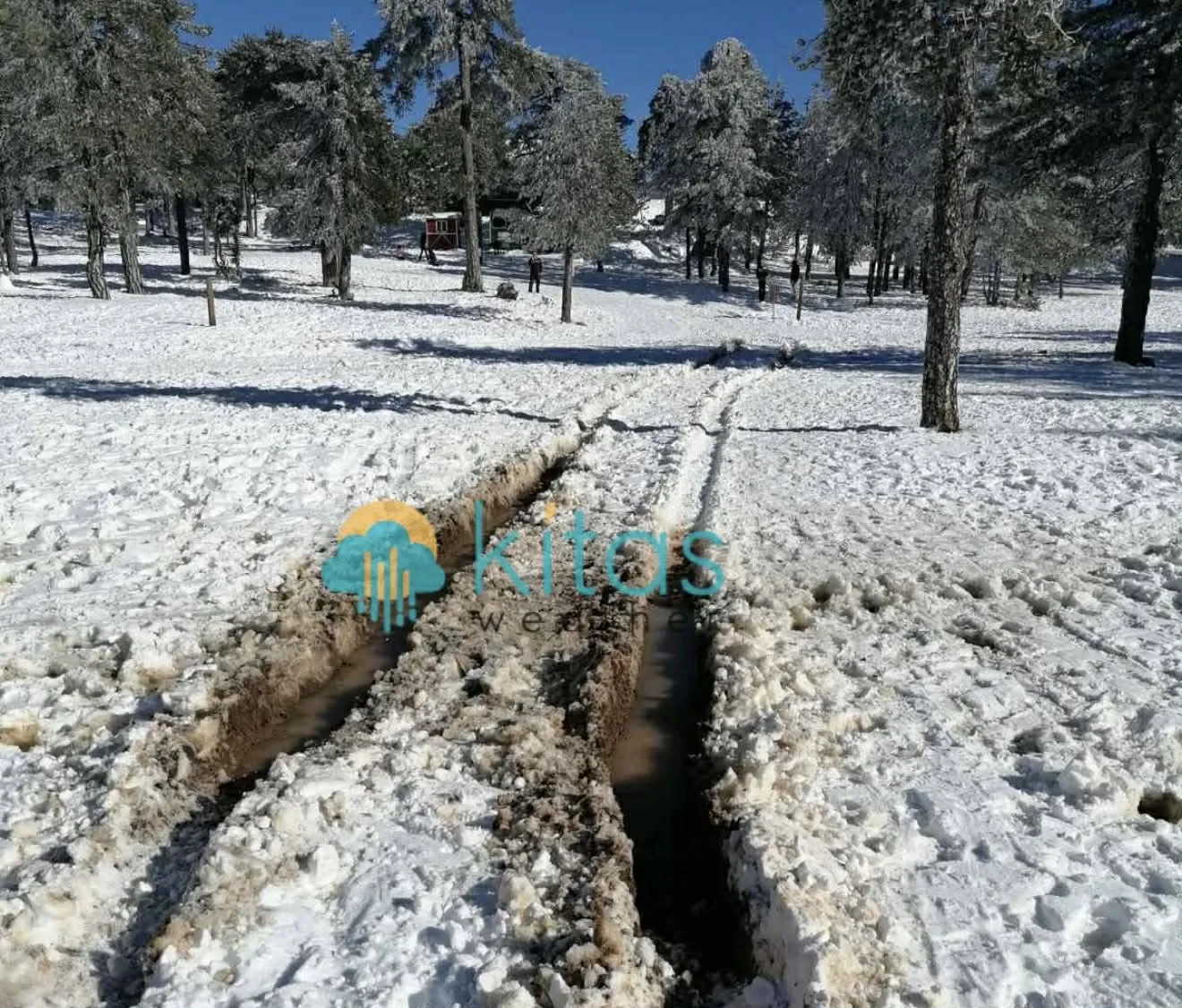 Τρόοδος: Μπήκαν σε πίστα σκι με 4×4 – Έκλεισε προσωρινά  (ΦΩΤΟ)