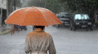 2521307_252863_281538_type13262_252863_440024_type13262_252863_477392_type13262_252863_496201_type13262-thumb