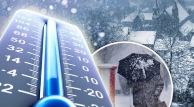 2f63b662b8e8ae2aff7e361625d4d782