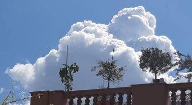 341685587_736190764958117_1008009341806894460_n