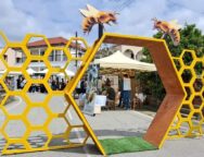 348827902_791009872466584_4142798187758038268_n