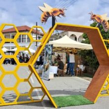 348827902_791009872466584_4142798187758038268_n