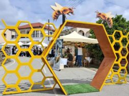 348827902_791009872466584_4142798187758038268_n