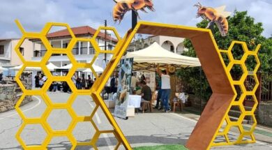 348827902_791009872466584_4142798187758038268_n