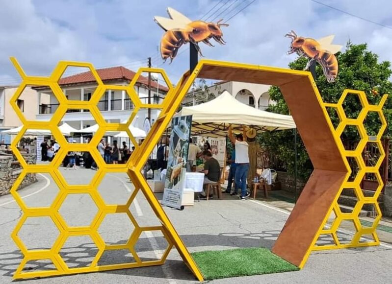 348827902_791009872466584_4142798187758038268_n