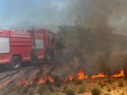 348969205_1275773366373233_4731300557185958203_n