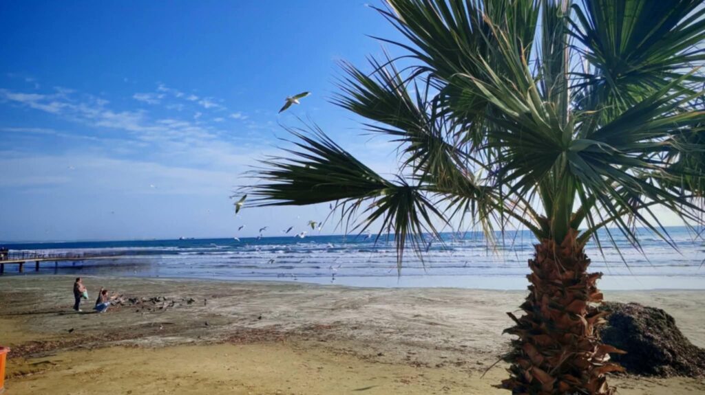 Η πρωινή ενημέρωση της ημέρας από τη Σκαλιώτισσα