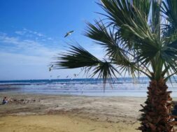 3963de90-1dde-4342-a29a-69460a017bf2