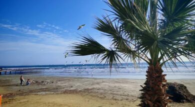 3963de90-1dde-4342-a29a-69460a017bf2