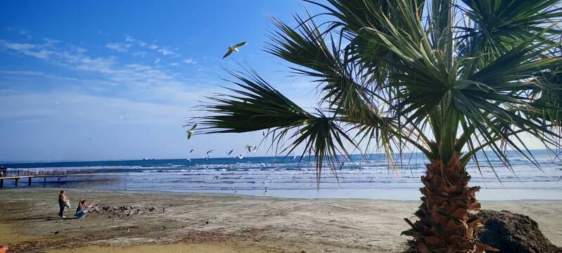 3963de90-1dde-4342-a29a-69460a017bf2