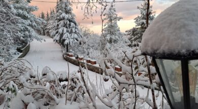 476156812_3953550211630734_8509757137145524064_n