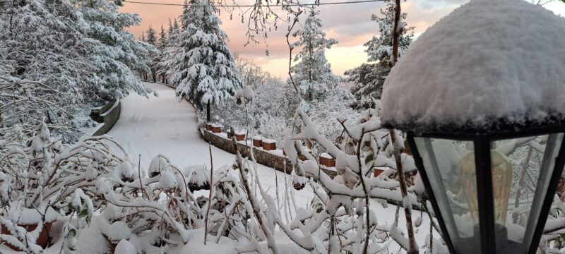 476156812_3953550211630734_8509757137145524064_n