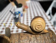 494198346_122223030602229771_3658708226812279850_n