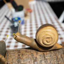 494198346_122223030602229771_3658708226812279850_n