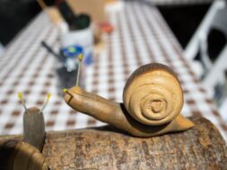 494198346_122223030602229771_3658708226812279850_n