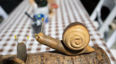 494198346_122223030602229771_3658708226812279850_n