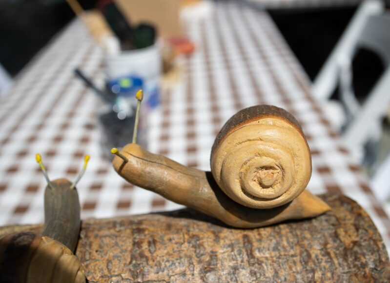 494198346_122223030602229771_3658708226812279850_n