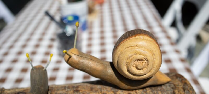 494198346_122223030602229771_3658708226812279850_n