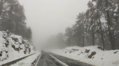 49638818cccccce19b585b261397be1f