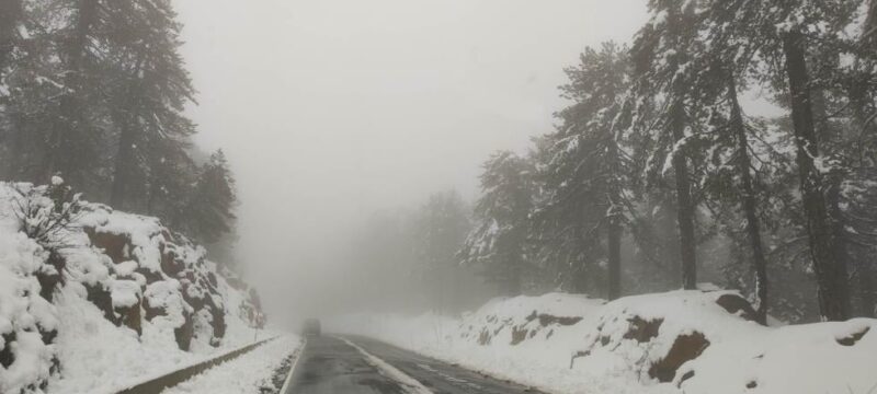 49638818cccccce19b585b261397be1f