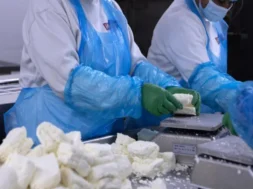 500056-large_thumbnail