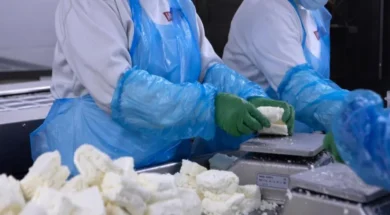 500056-large_thumbnail