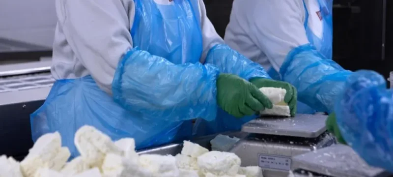 500056-large_thumbnail