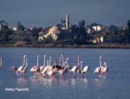 514259647_24417787761146320_4586439539113973893_n