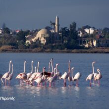 514259647_24417787761146320_4586439539113973893_n