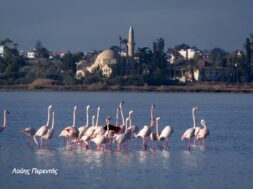 514259647_24417787761146320_4586439539113973893_n