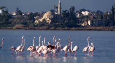 514259647_24417787761146320_4586439539113973893_n