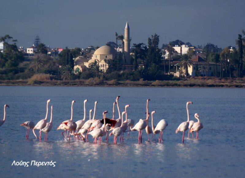 514259647_24417787761146320_4586439539113973893_n