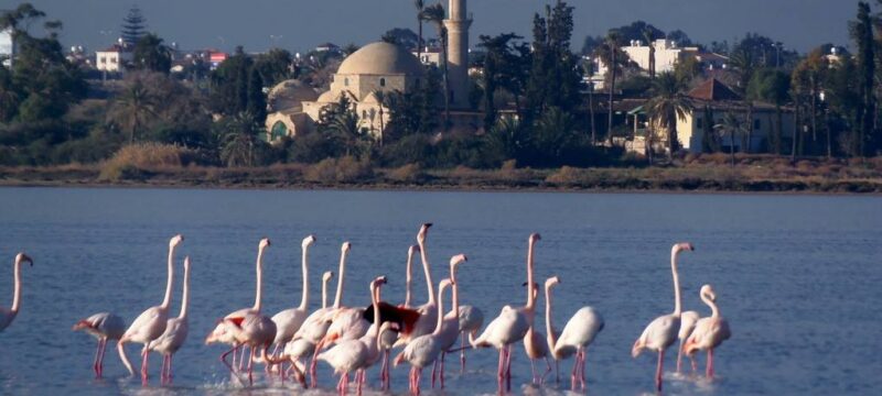 514259647_24417787761146320_4586439539113973893_n