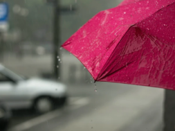 55e2d7e7-e9fc-4850-8866-c852a6858442_30c08fa3-a45e-4e78-a189-587d1d5794bf_2a9fb4bb-78b2-42a8-90fc-40cc189df1ea_4_1