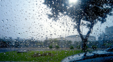 583c80c6-6131-428a-a341-d3872ab33992.width-750