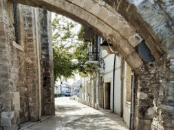 611170300_1877004196256881_5375568014632898425_n