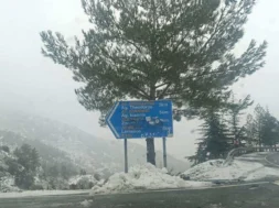 612084376_1414302473638283_7227319214002541931_n-thumb