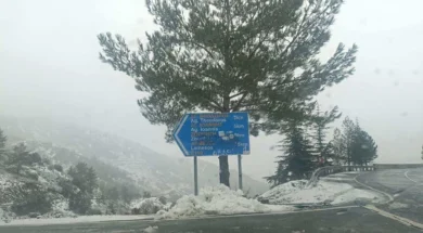 612084376_1414302473638283_7227319214002541931_n-thumb