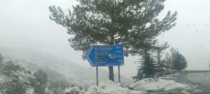 612084376_1414302473638283_7227319214002541931_n-thumb