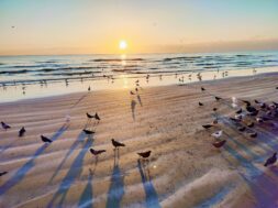 613085613_25866449089675424_2164607162536600656_n