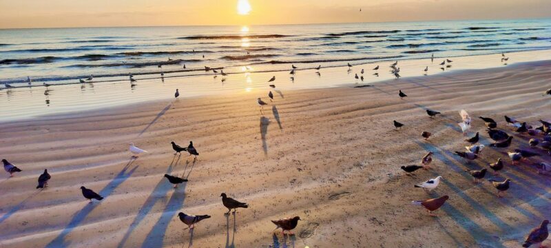 613085613_25866449089675424_2164607162536600656_n