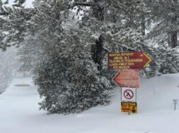 615357296_1205796635069363_7145834452405427085_n