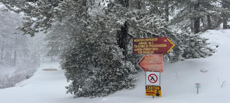 615357296_1205796635069363_7145834452405427085_n